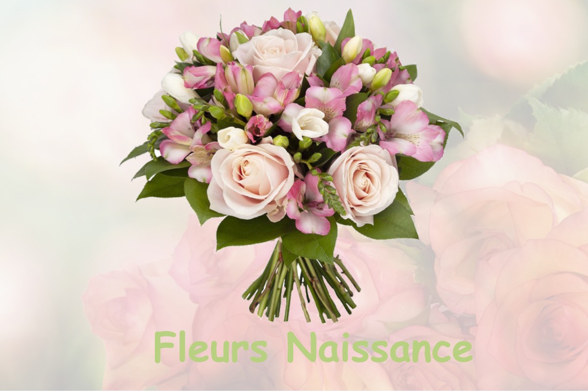 fleurs naissance ROUVROIS-SUR-OTHAIN