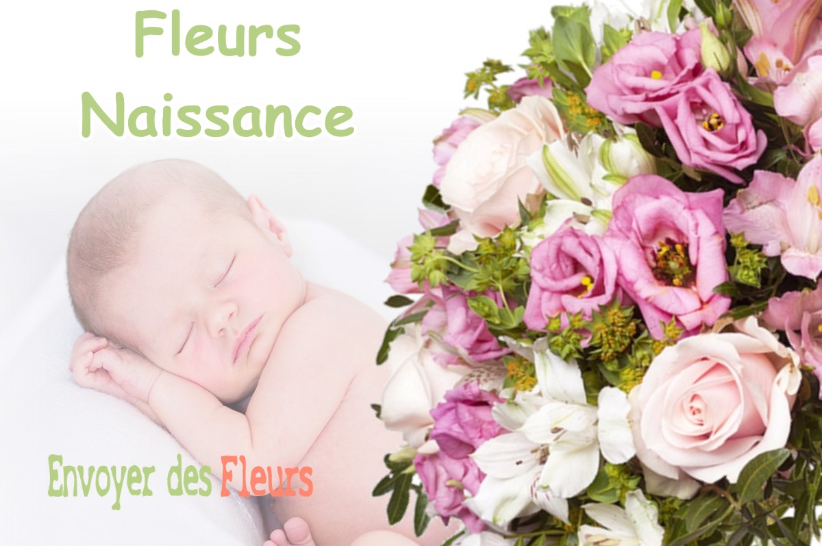 lIVRAISON FLEURS NAISSANCE à ROUVROIS-SUR-OTHAIN